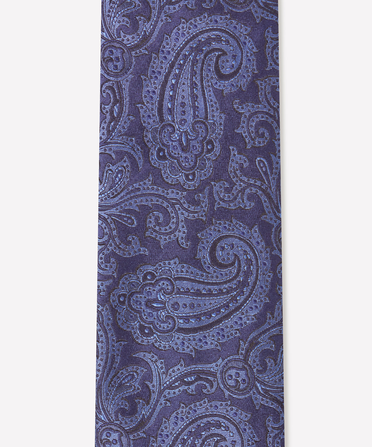Navy & Blue Contrast Paisley Silk Tie